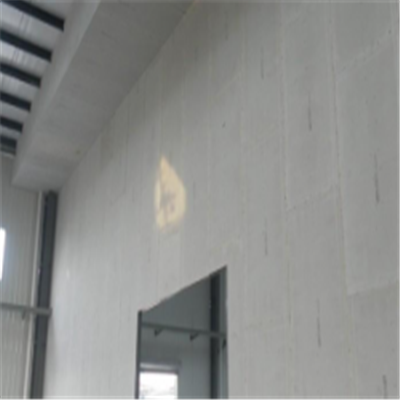 久治新型建筑材料掺多种工业废渣的ALC|ACC|FPS模块板材轻质隔墙板
